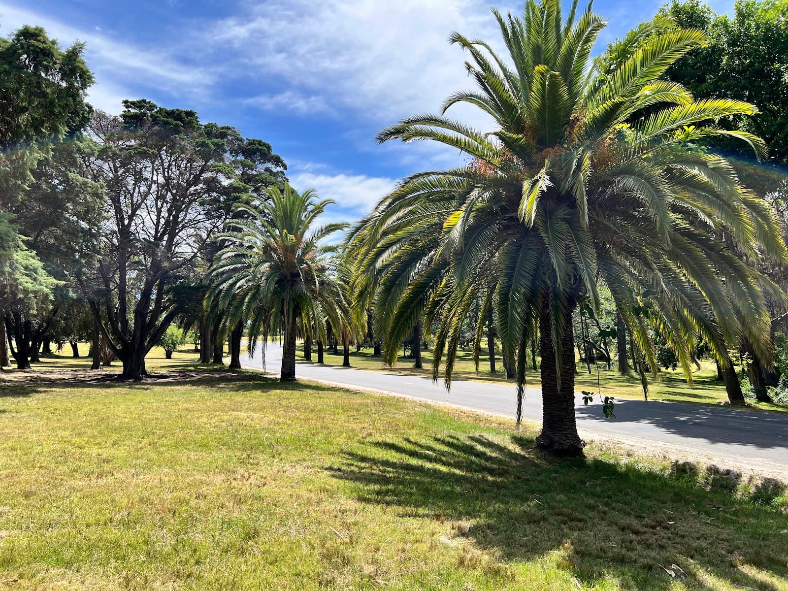 Parque Ferrando - Image 1
