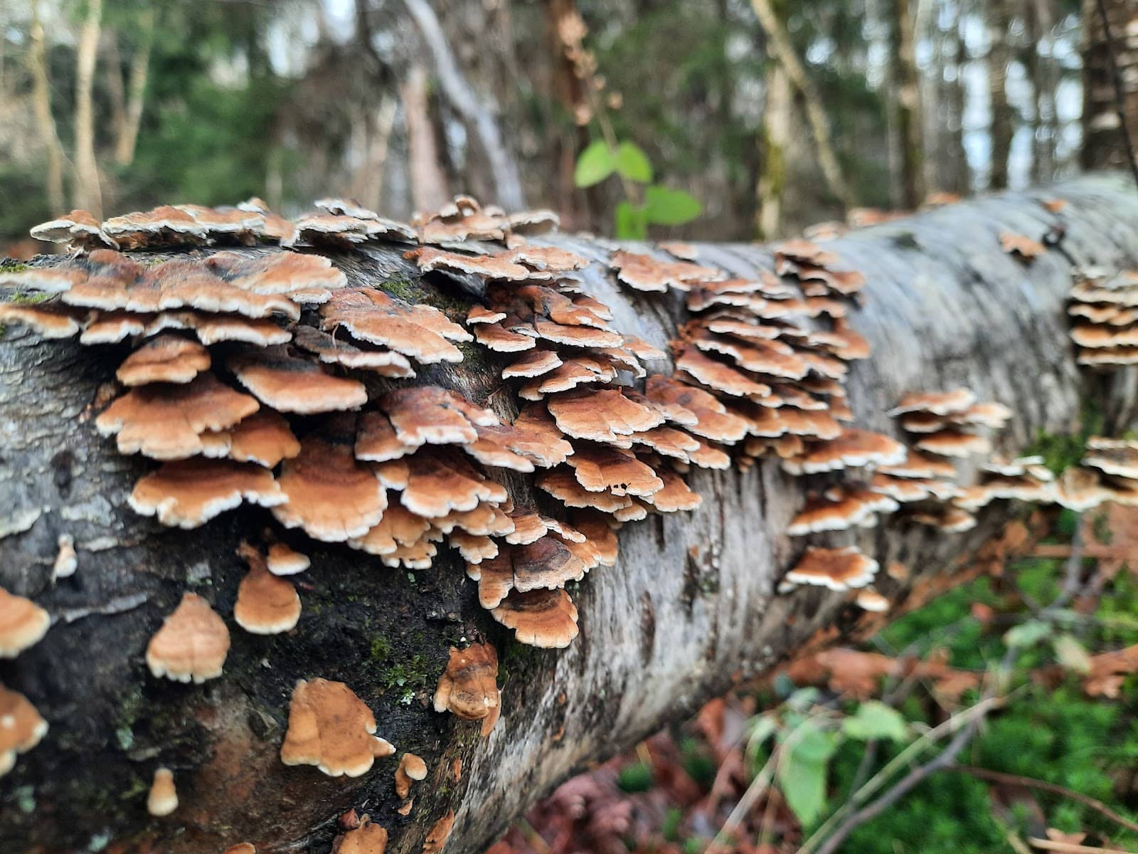 Diverse Habitats
