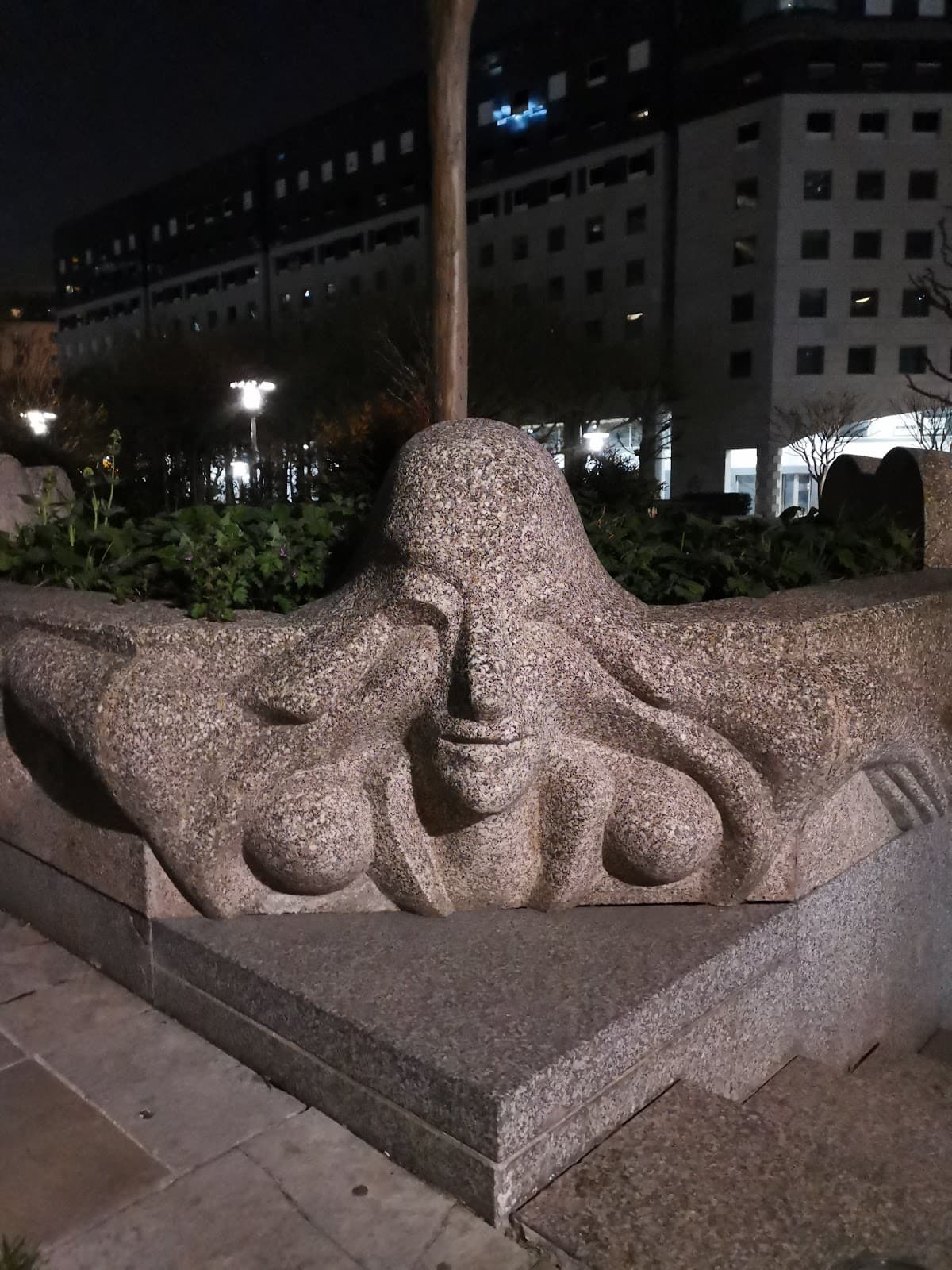 Place des Reflets - Image 1