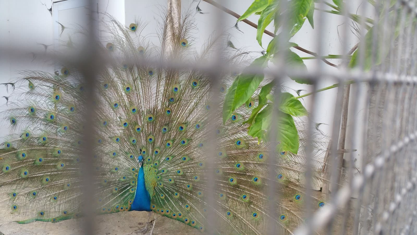 Union Nature Trail and Zoo - Image 1