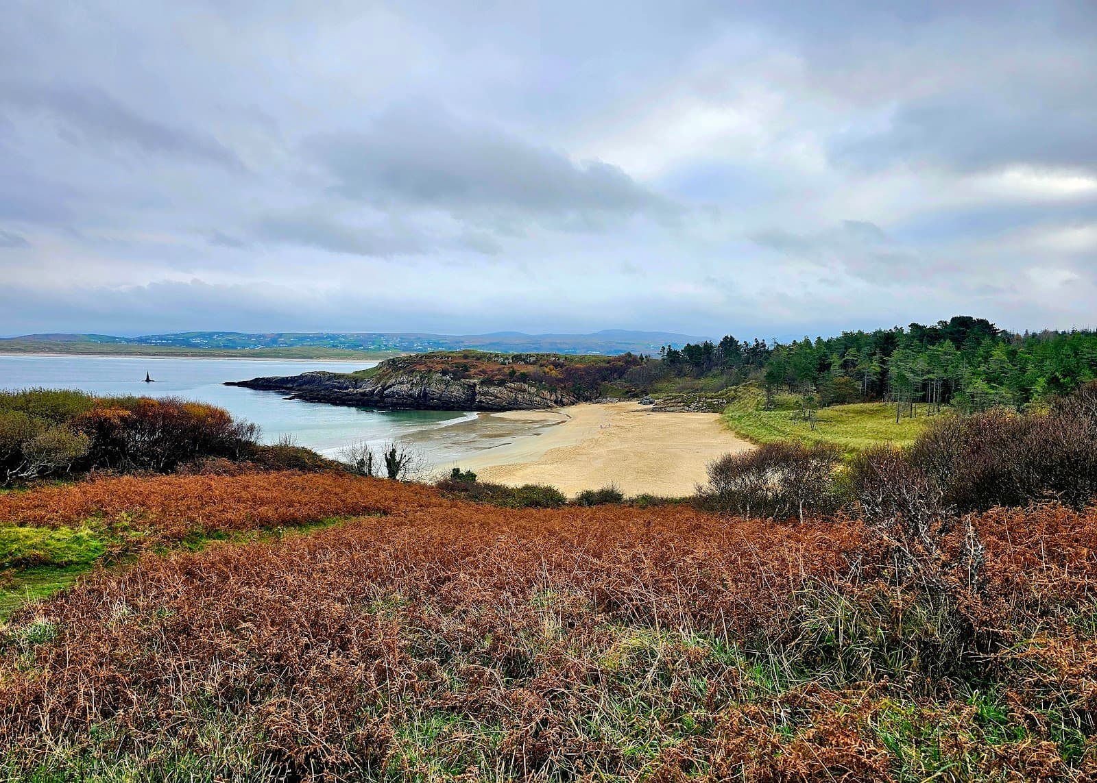 Ards Forest Park - Image 1