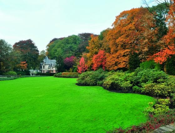 Parc Sobieski - Image 1