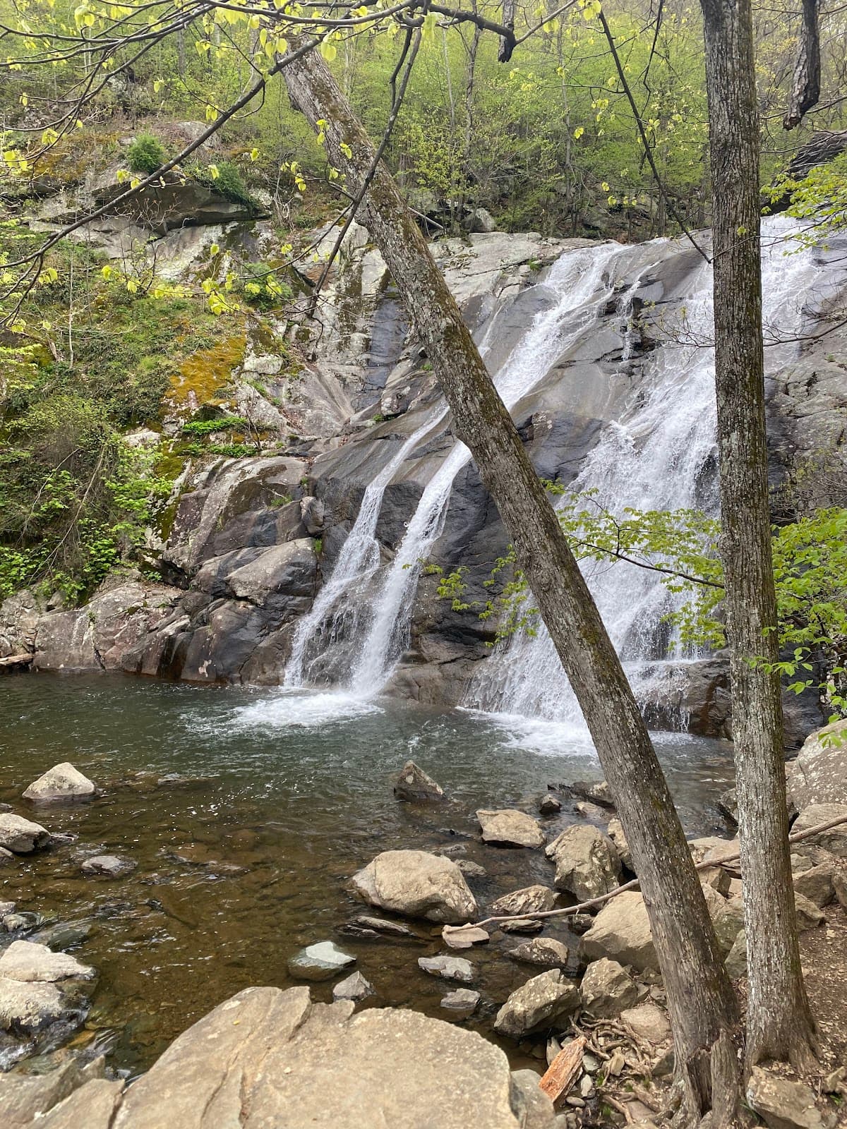 White Oak Canyon Falls Shenandoah National Park - Image 1