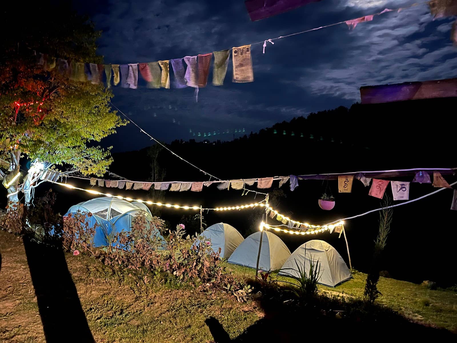 Night Stay Serenity