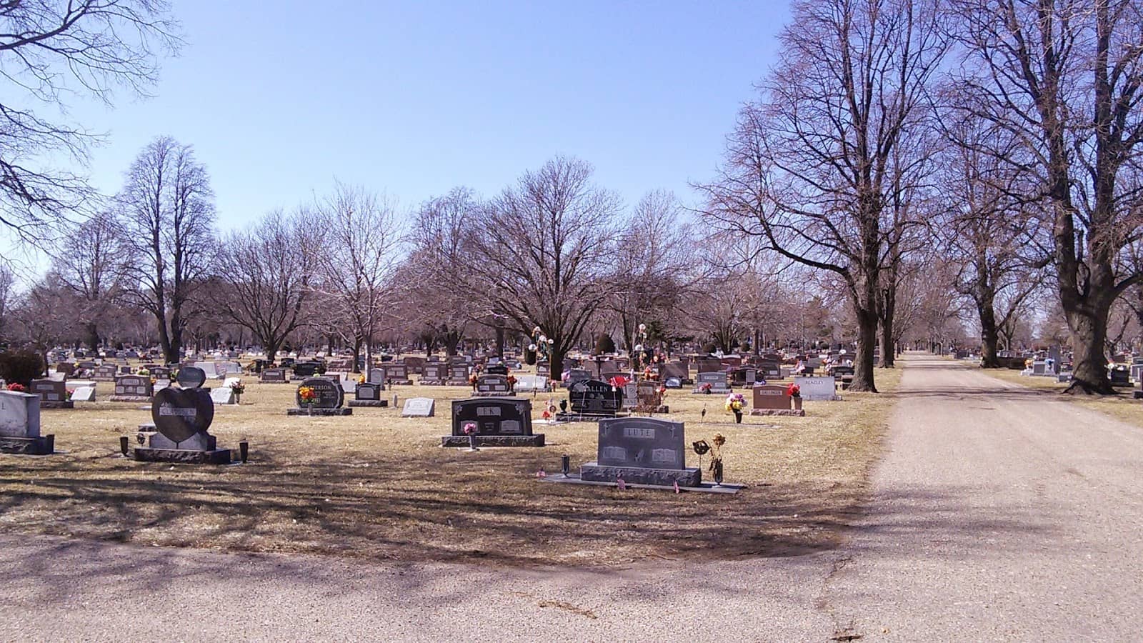 Dedicated Staff Assistance