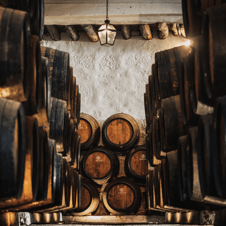 Chocolate and Port Pairing