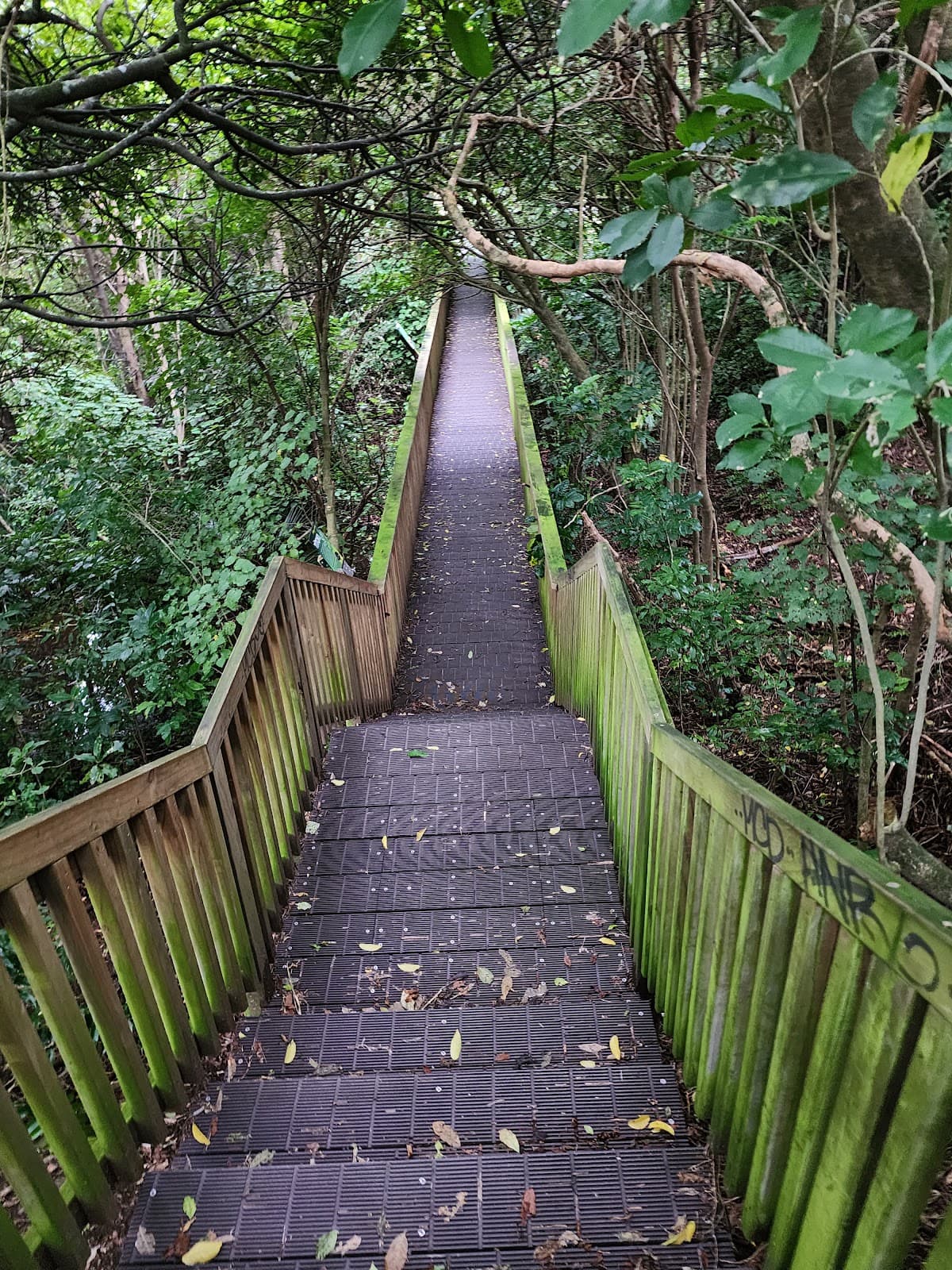 Kaitawa Scenic Reserve - Image 1