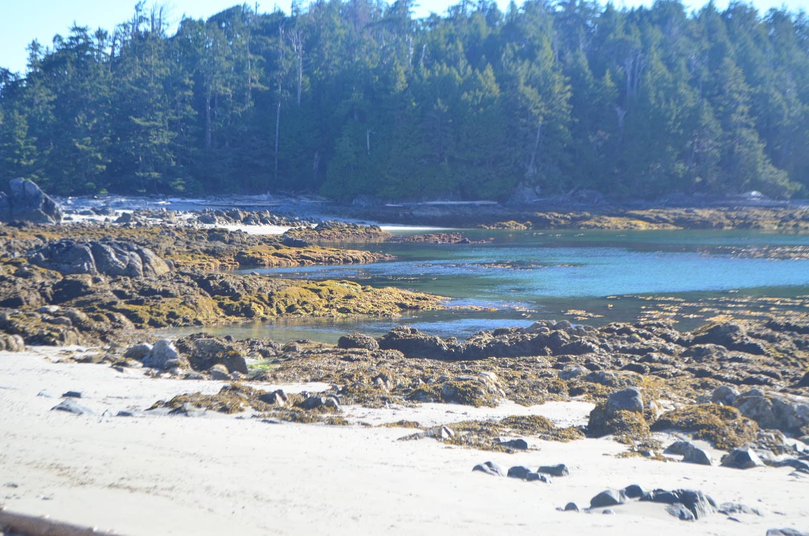 Rich Indigenous Heritage