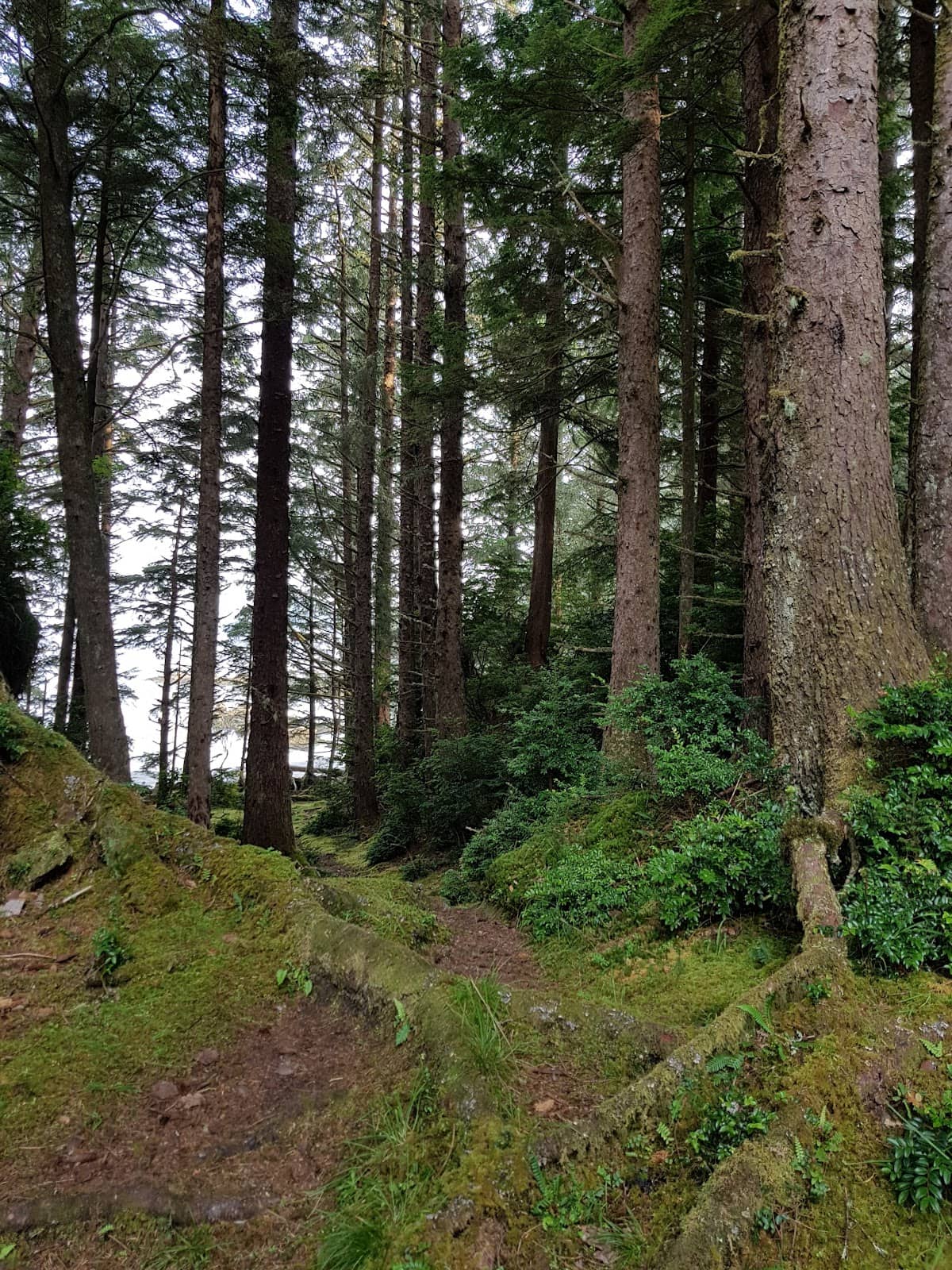 Vertical photo
