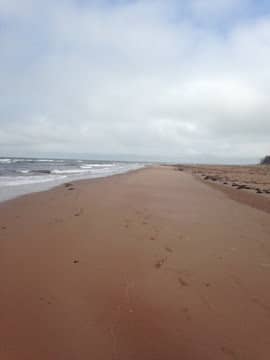 Historic Green Gables Shore