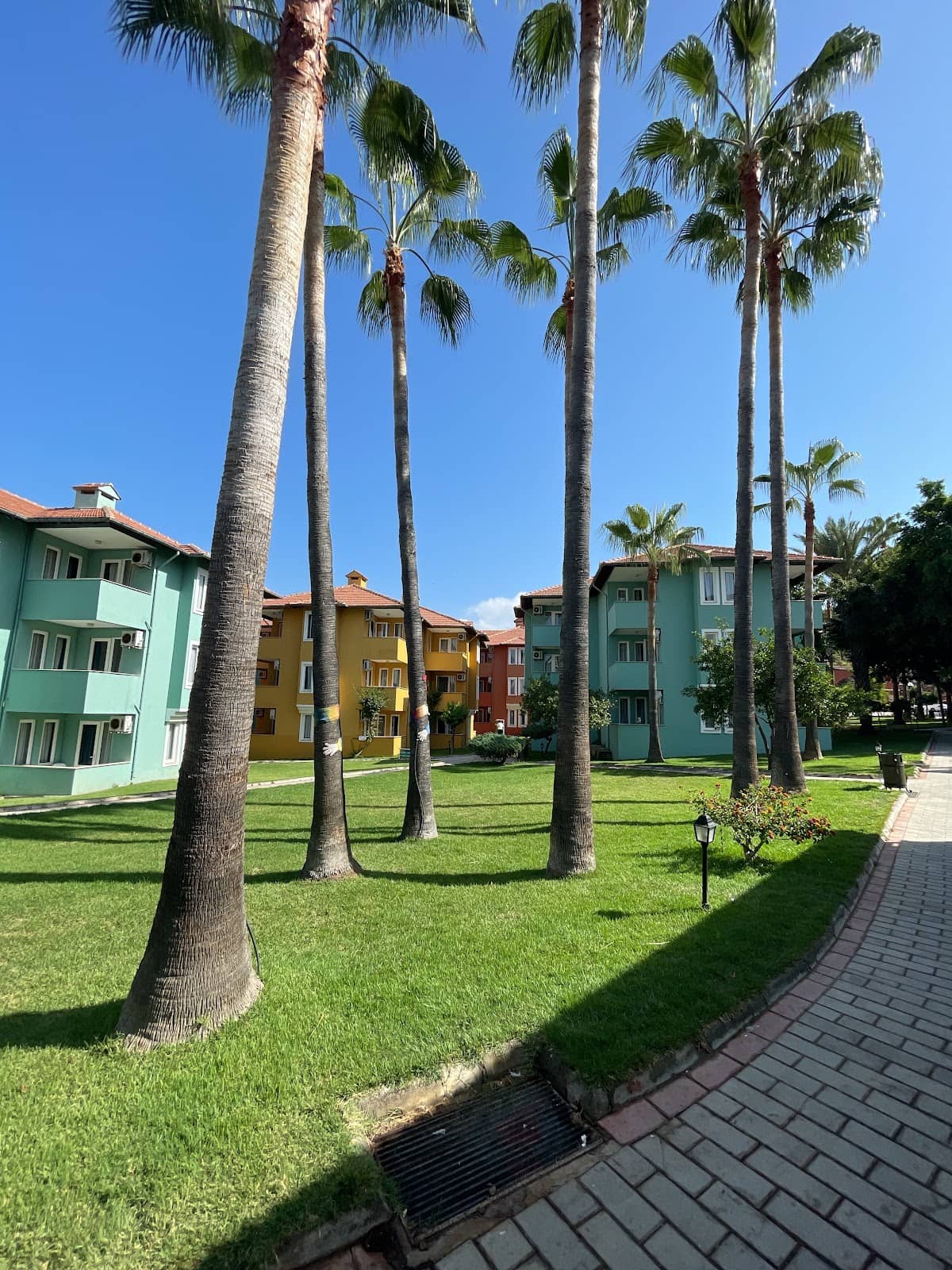 Greenery and Atmosphere