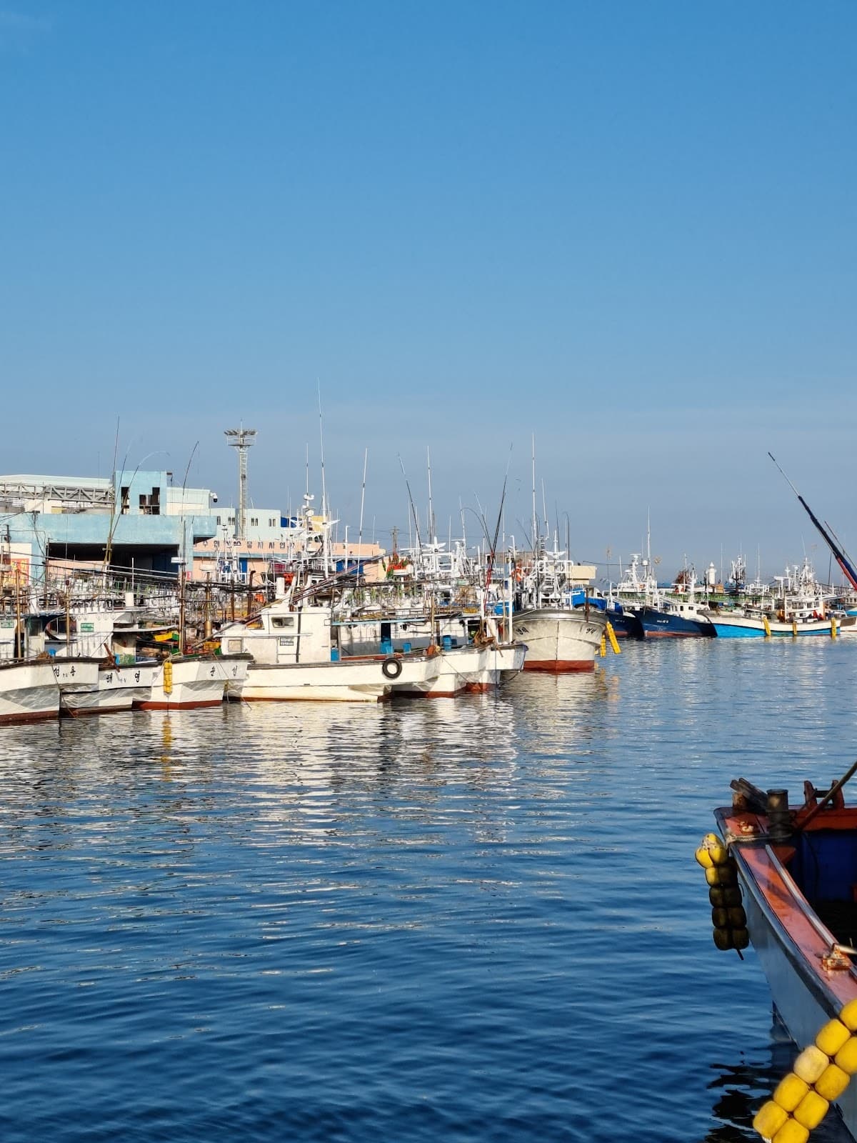 Hallim Port Jeju - Image 1