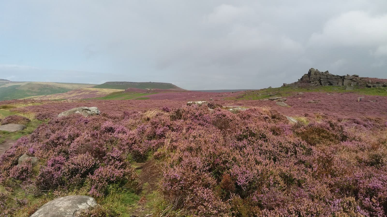 Surprise View - Image 1