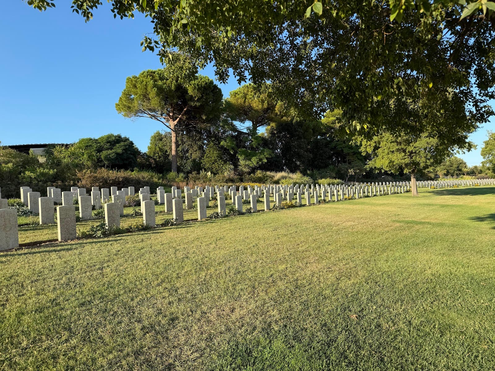 Sangro River War Cemetery (Torino di Sangro) - Image 1