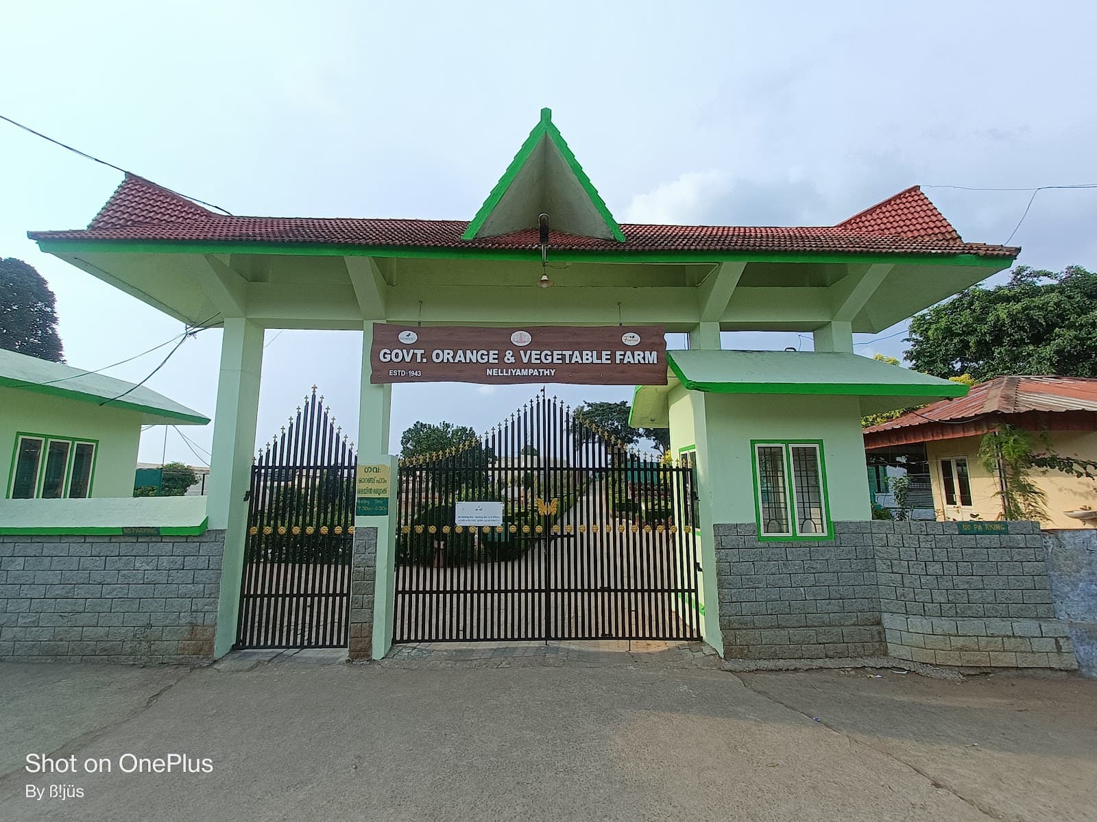 Nelliampathy Orange & Vegetable Farm - Image 1