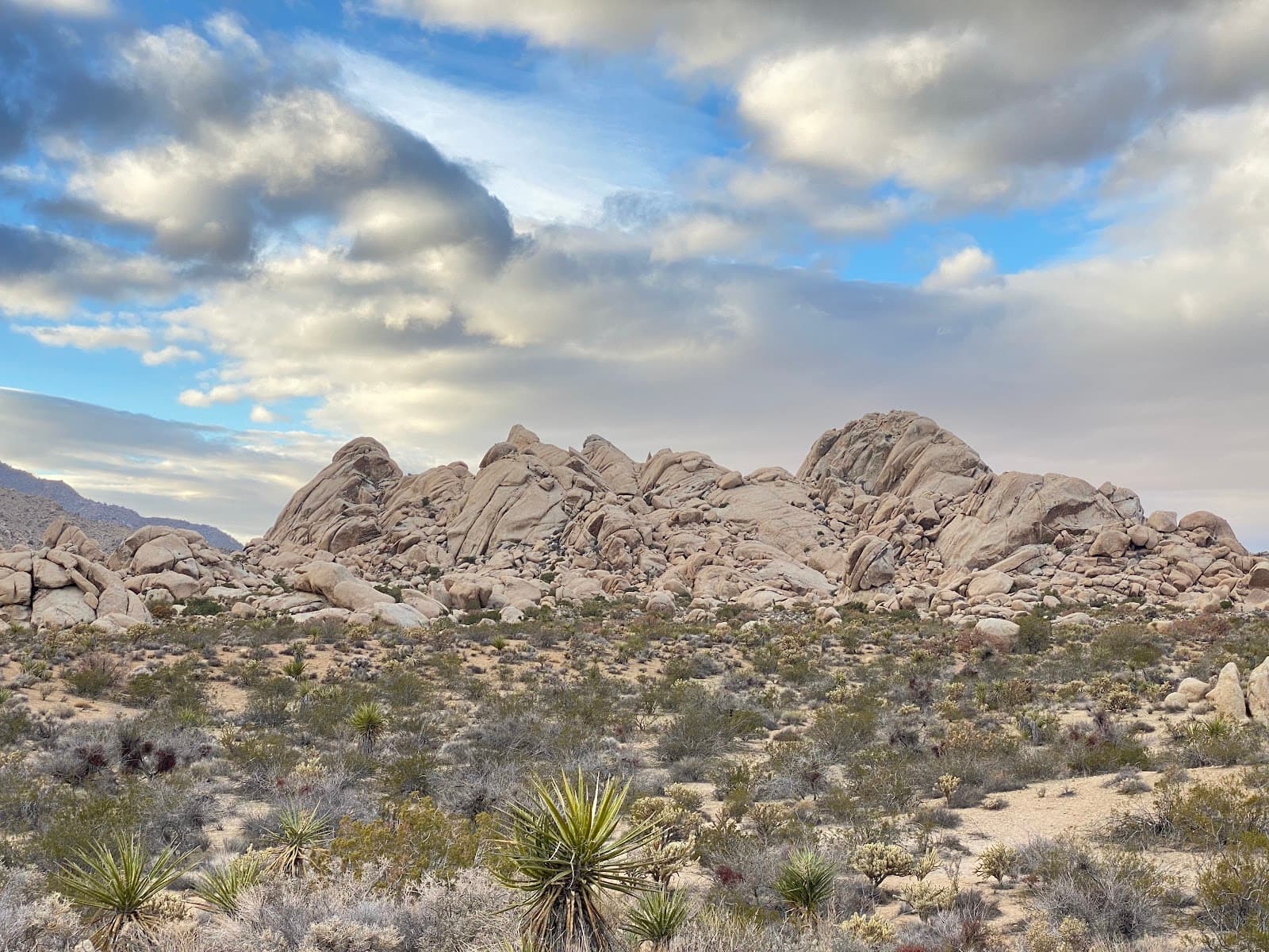 Mojave Trails National Monument - Image 1