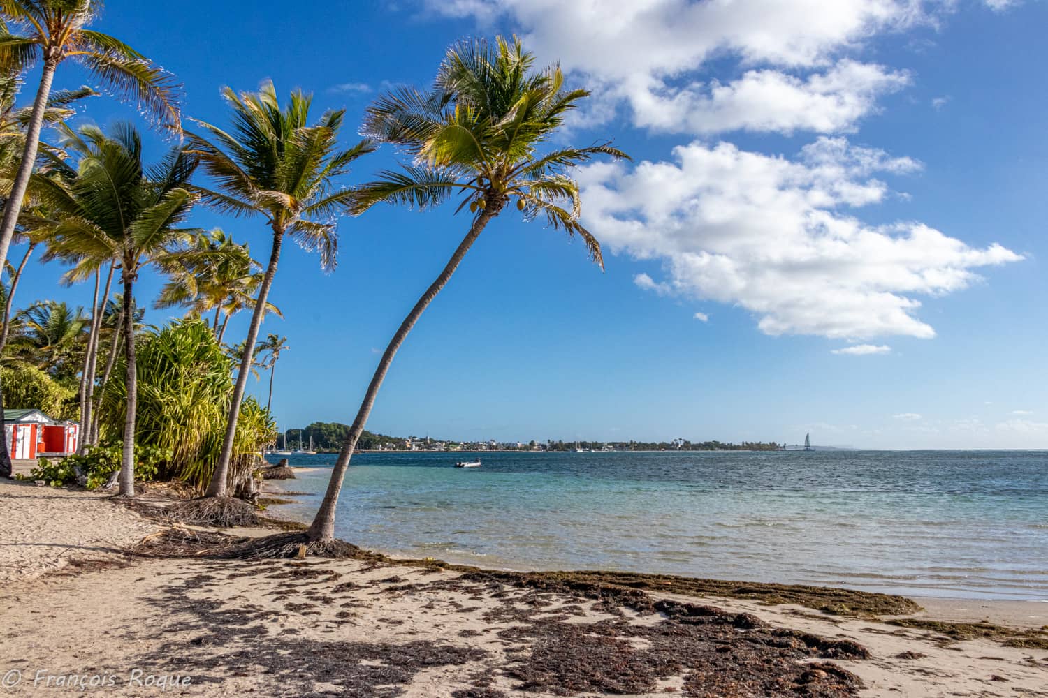 Coco le Pirate's Crafts