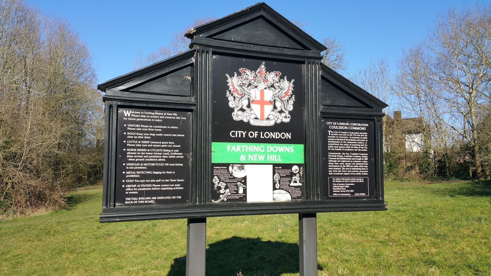 Farthing Downs - Image 1