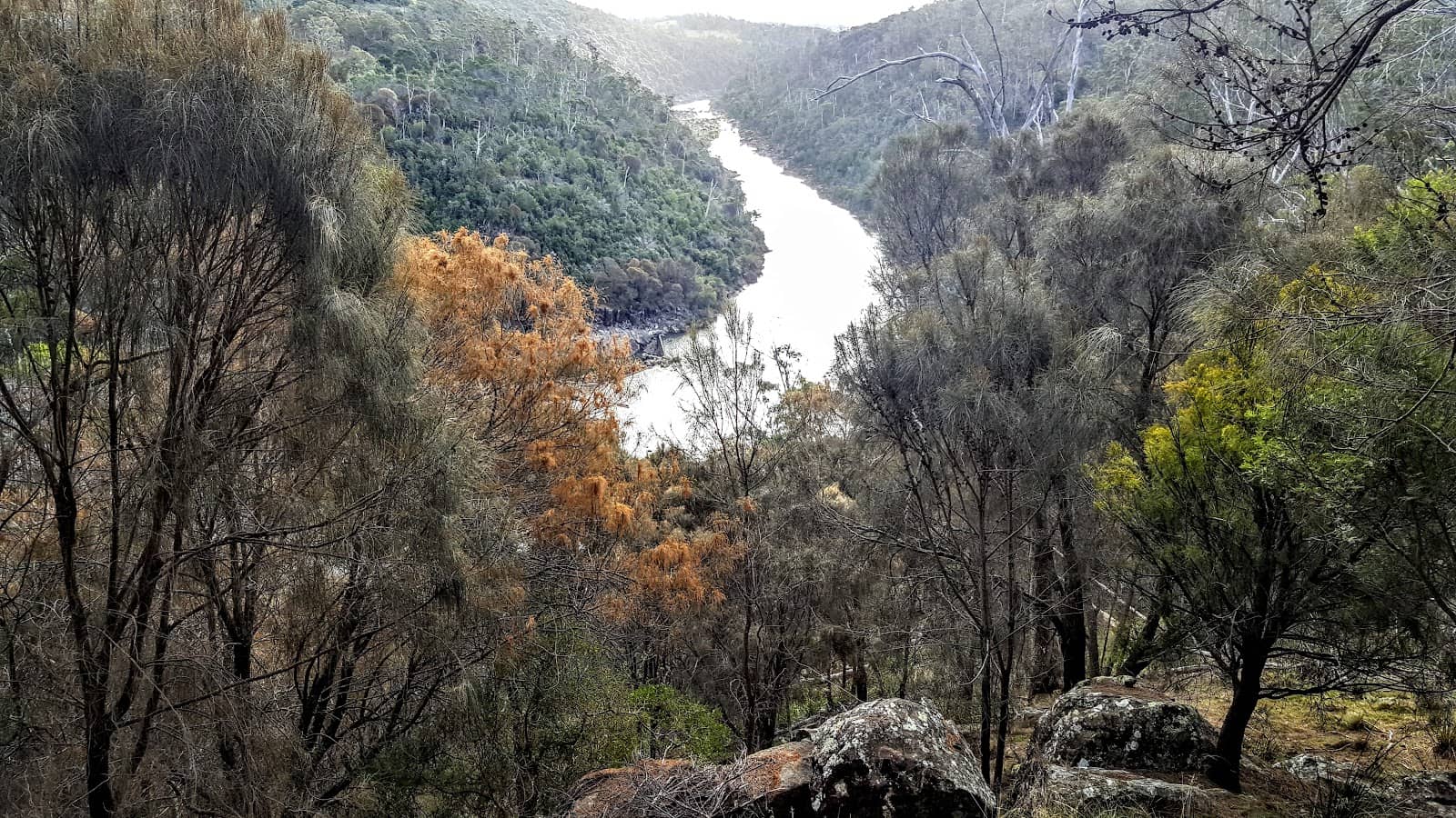 Trevallyn Dam
