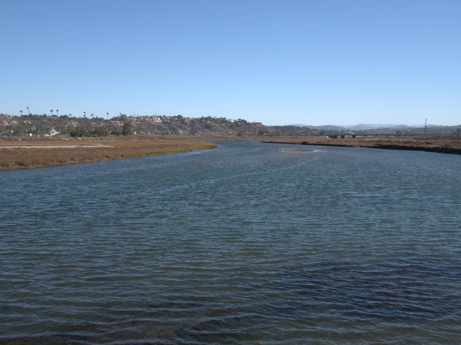 Scenic River Path Stroll
