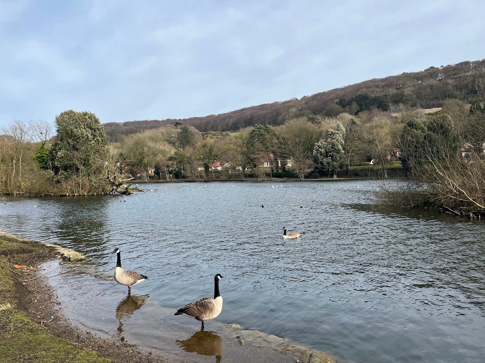 The Mere - Image 1