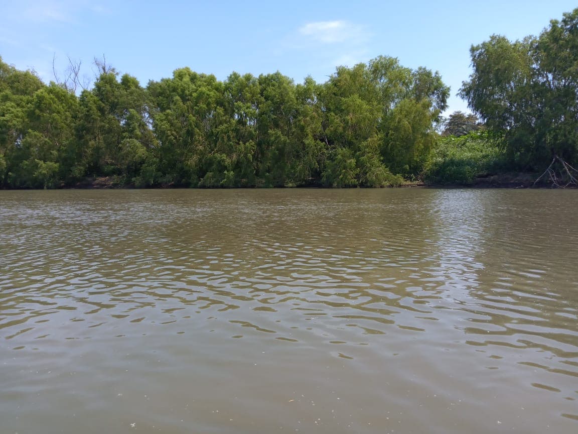 Ameca River Estuary - Image 1