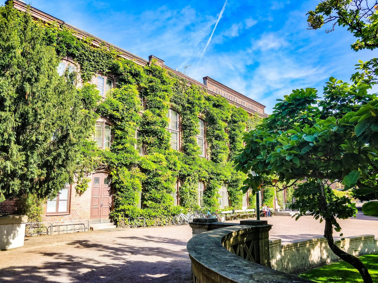 Palaestra et Odeum - Image 1