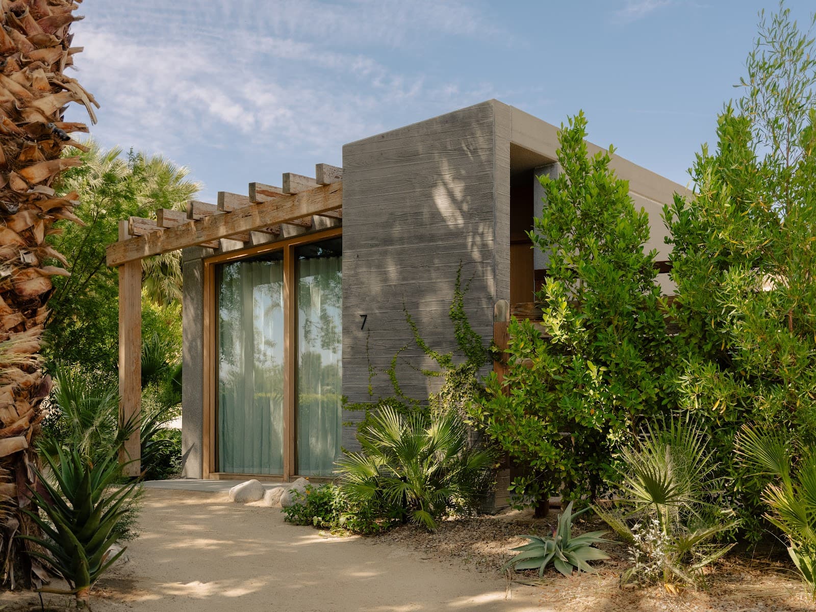 Two Bunch Palms - Image 1