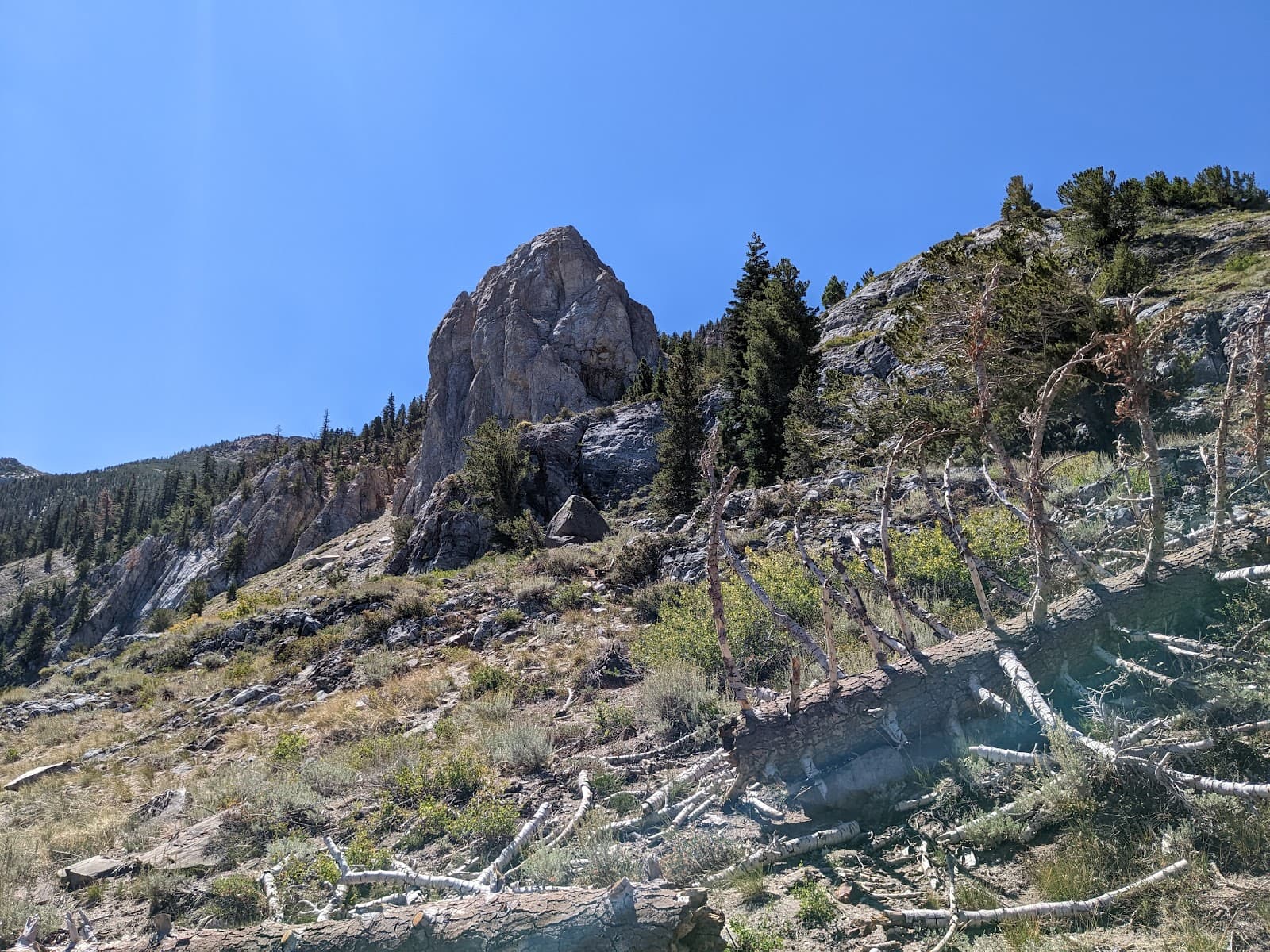 Mammoth Rock Trail - Image 1