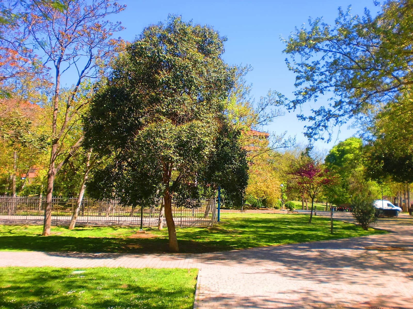 Parque Bruil - Image 1