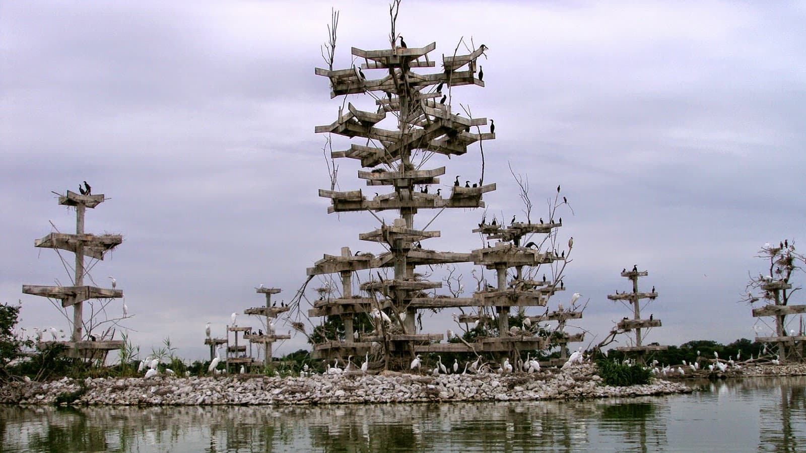 Lake Renwick Heron Rookery Nature Preserve - Image 1