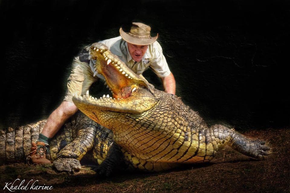 Crocodile Creek - Image 1