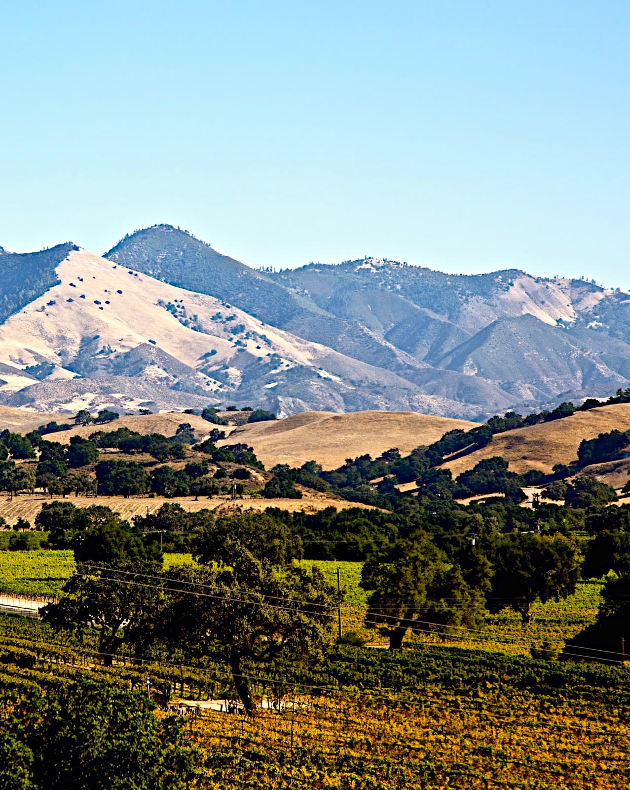 Gaviota State Park - Image 1
