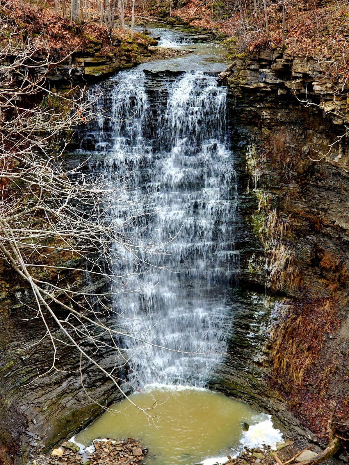 Swayze Falls - Image 1