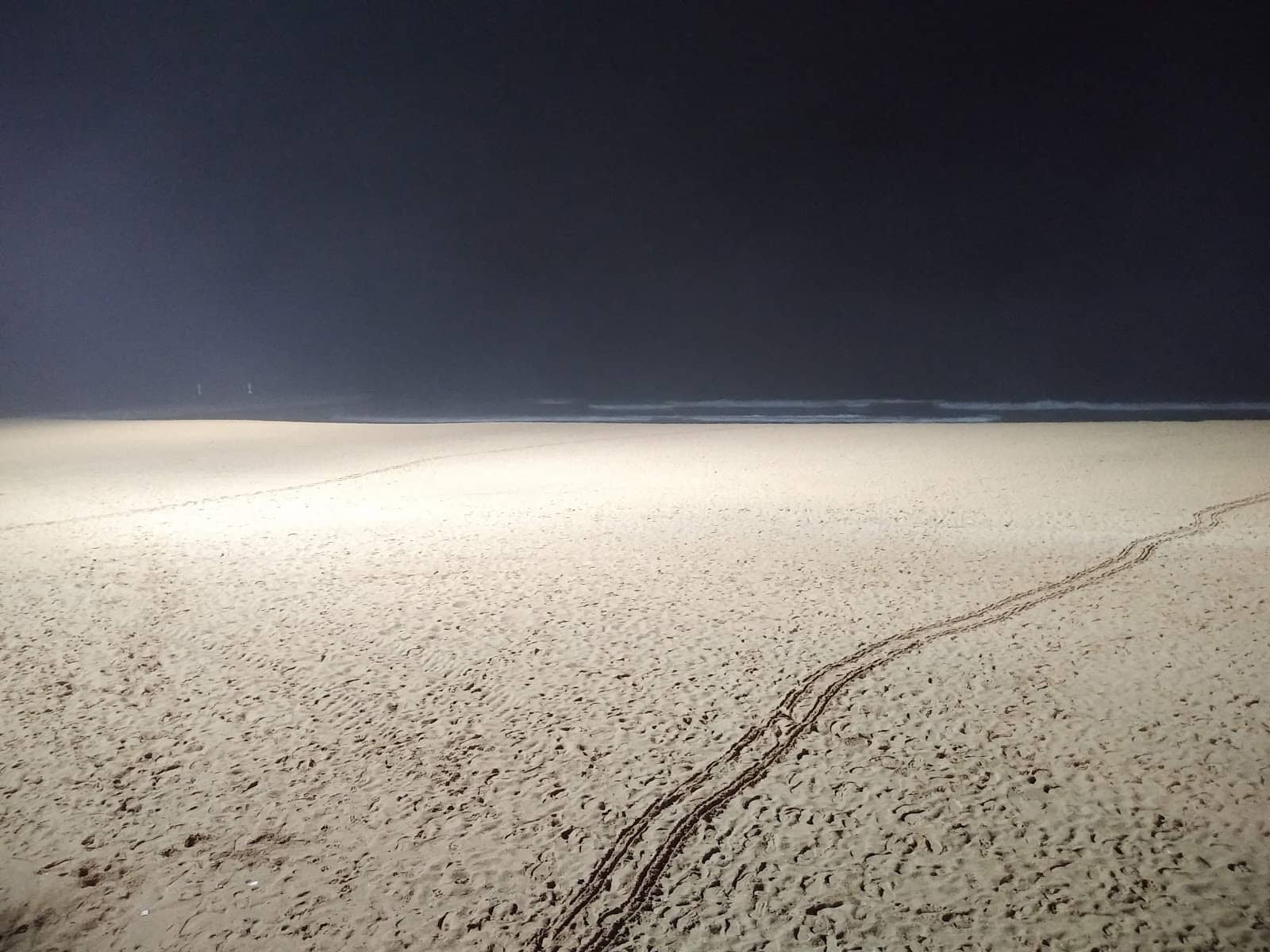 Vibrant Social Square