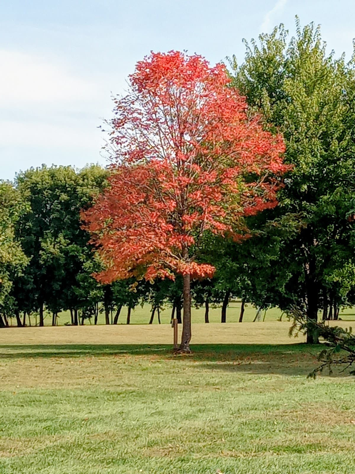 Land of Memories Park - Image 1