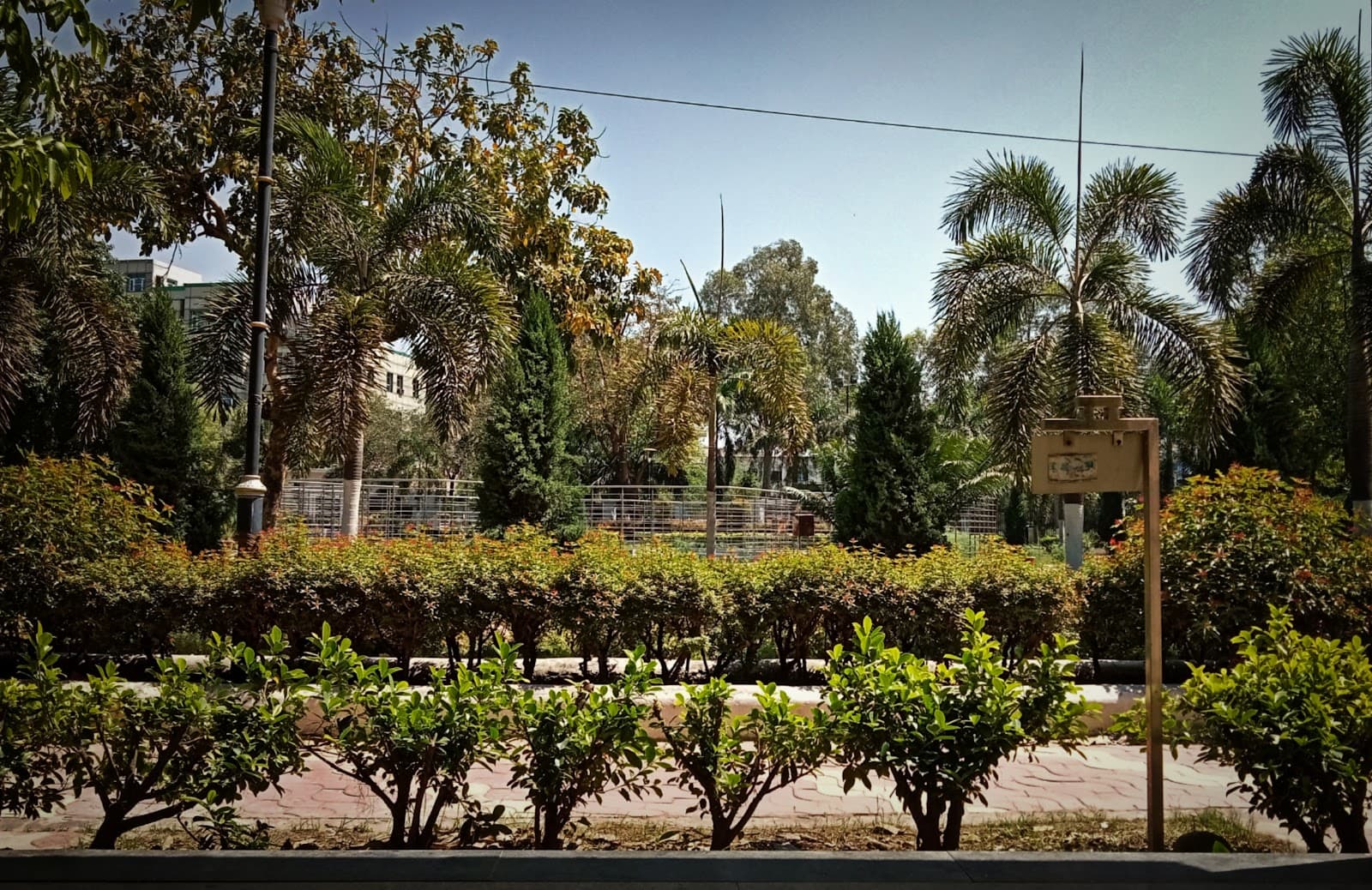 Company Bagh (Nehru Garden) - Image 1