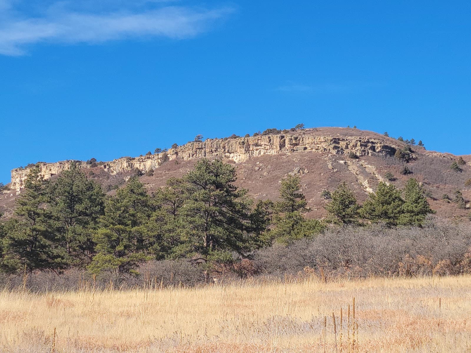 Dawson Butte Open Space - Image 1