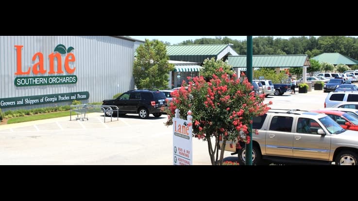 Lane Southern Orchards - Image 1