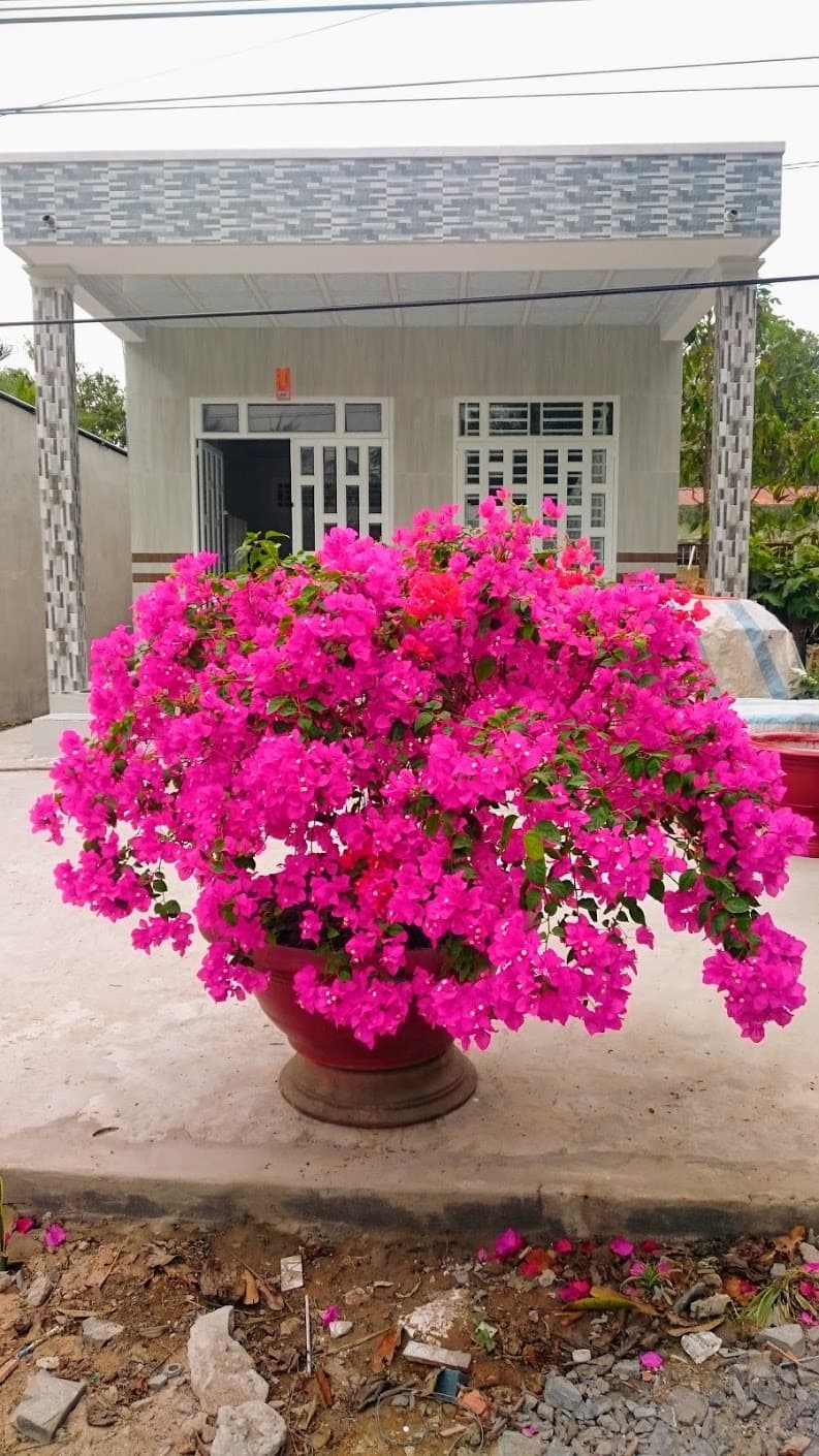 Long Tuyen Ancient Village - Image 1