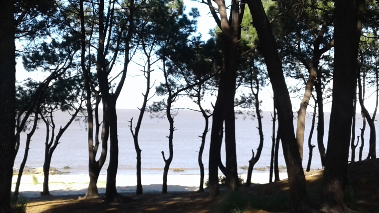 Parque Punta Yeguas - Image 1