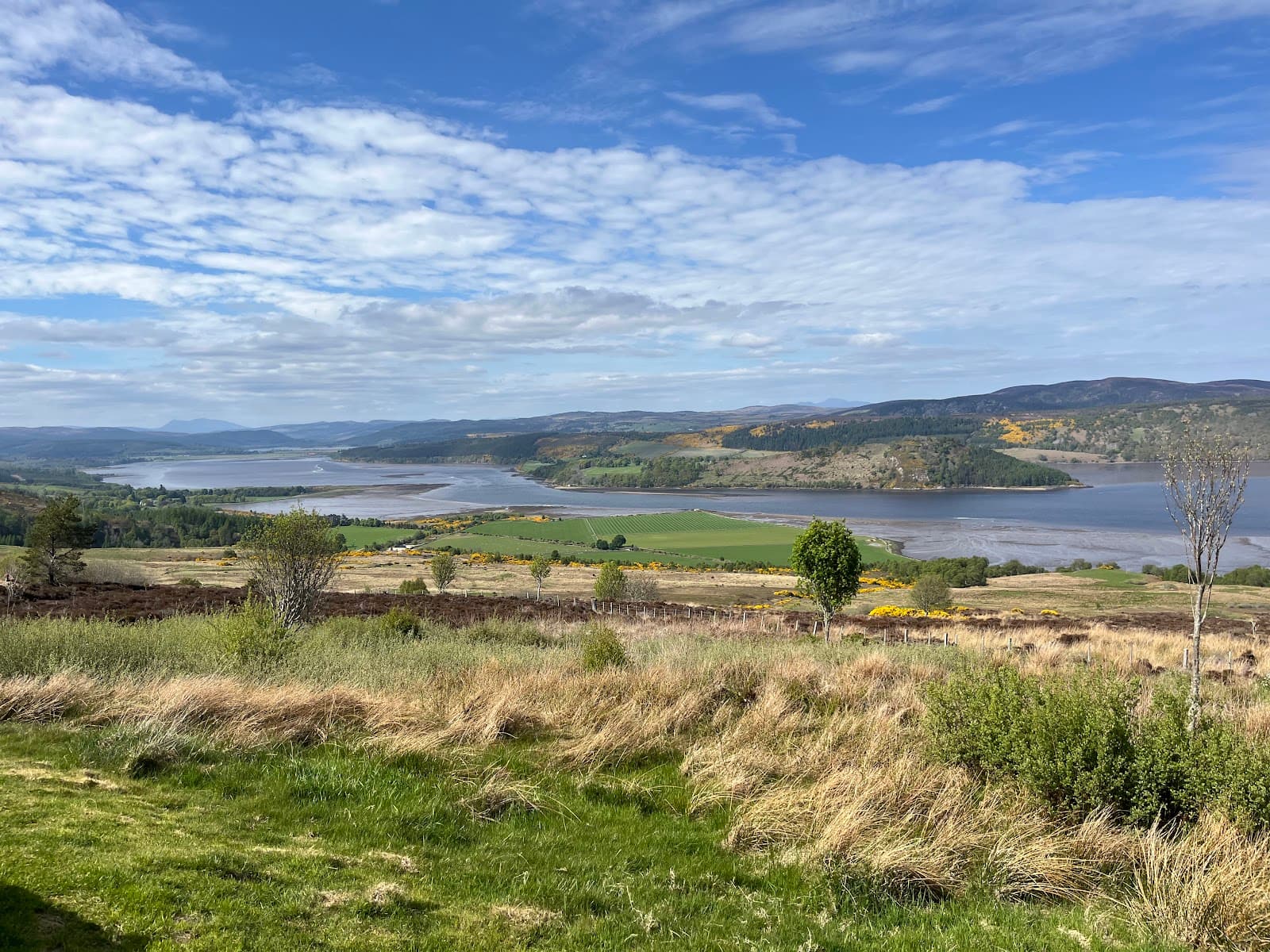 Struie Hill Viewpoint - Image 1