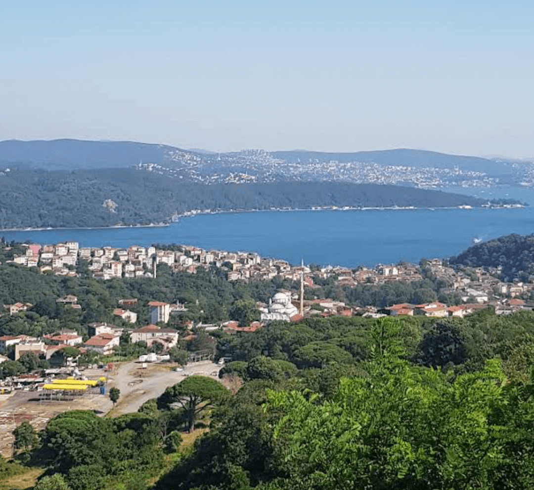 Coastal Cafes and Restaurants