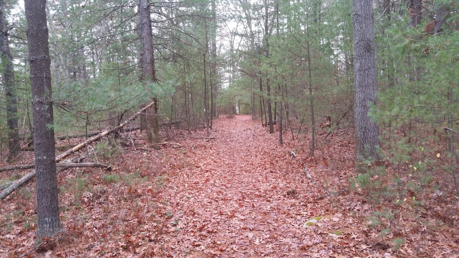 Varied Terrain Trails