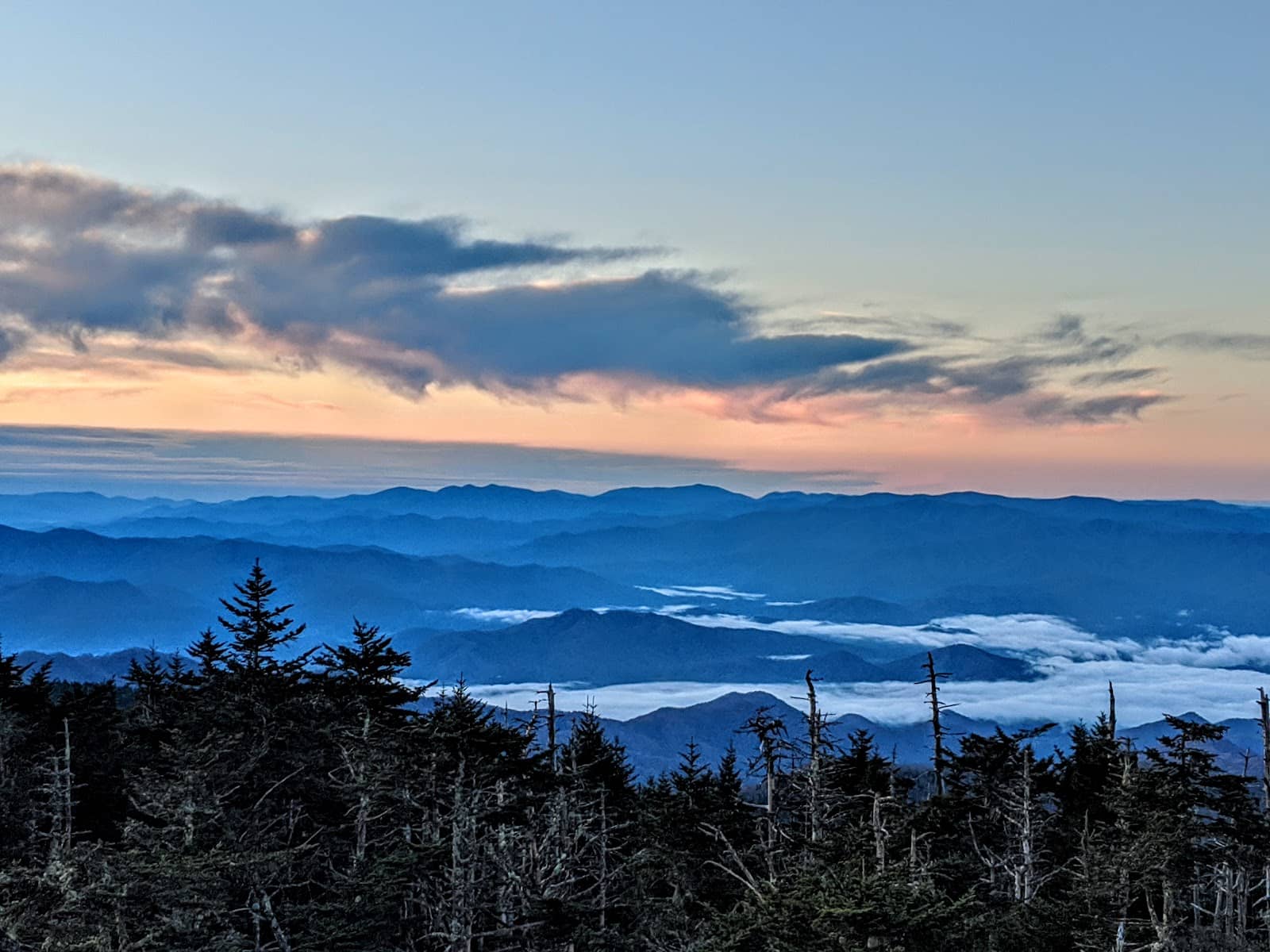 Forney Ridge Trail to Andrews Bald