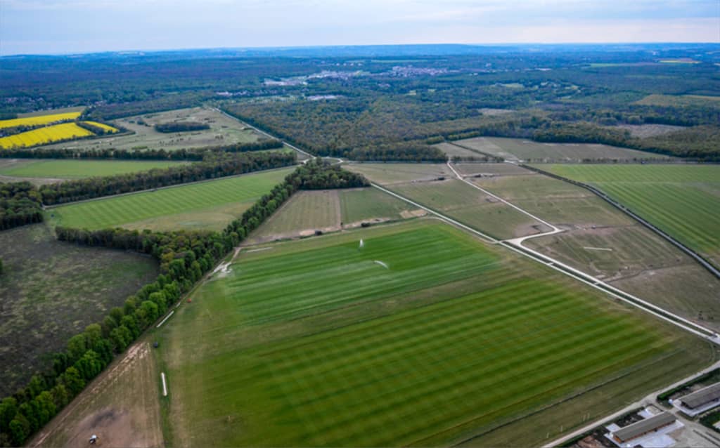 Picnic on the Polo Fields