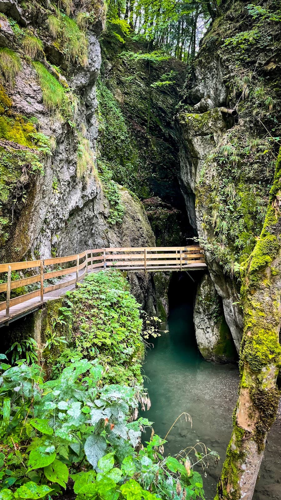 Alploch Gorge - Image 1