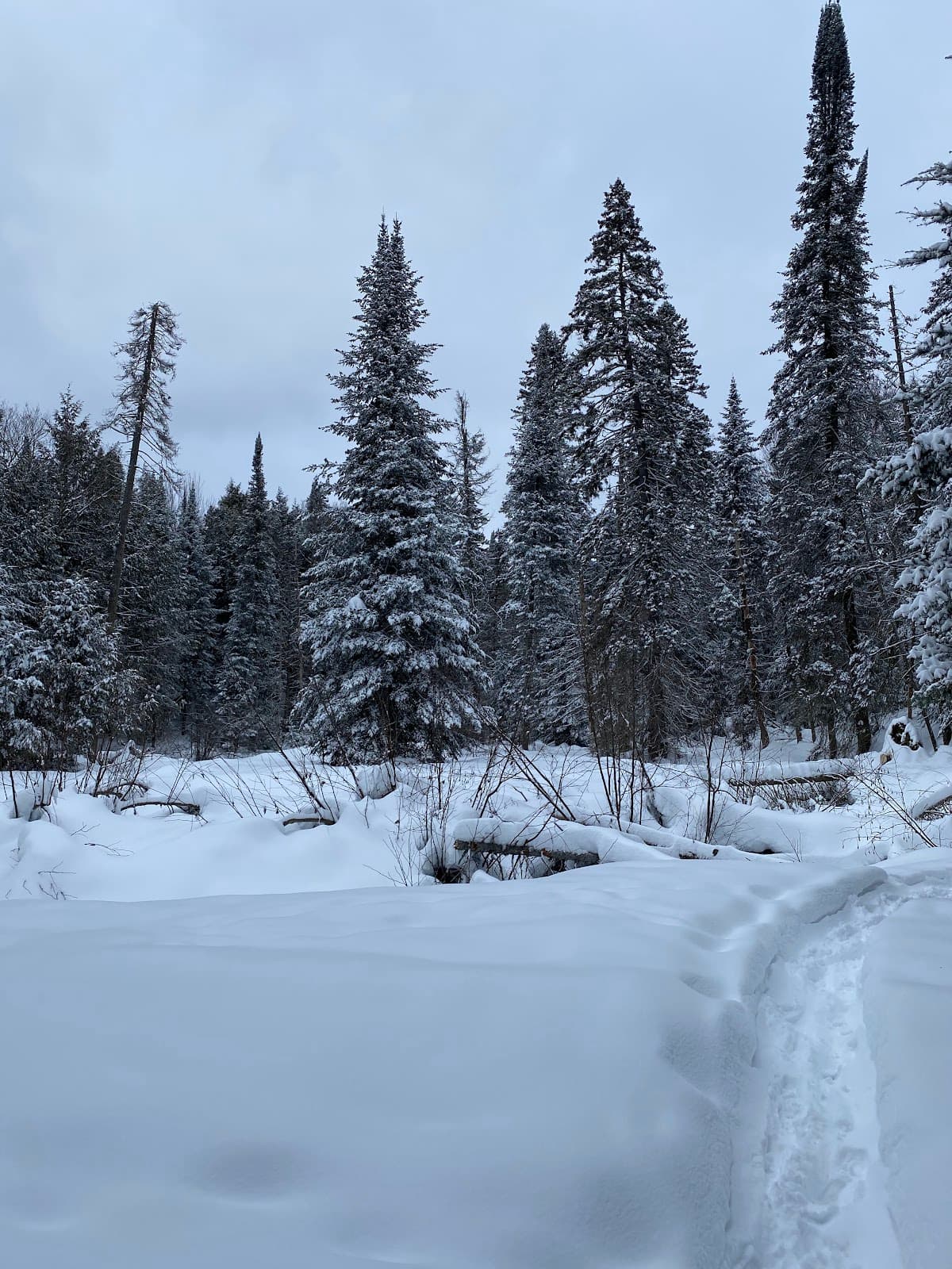 South Monck Trail - Image 1