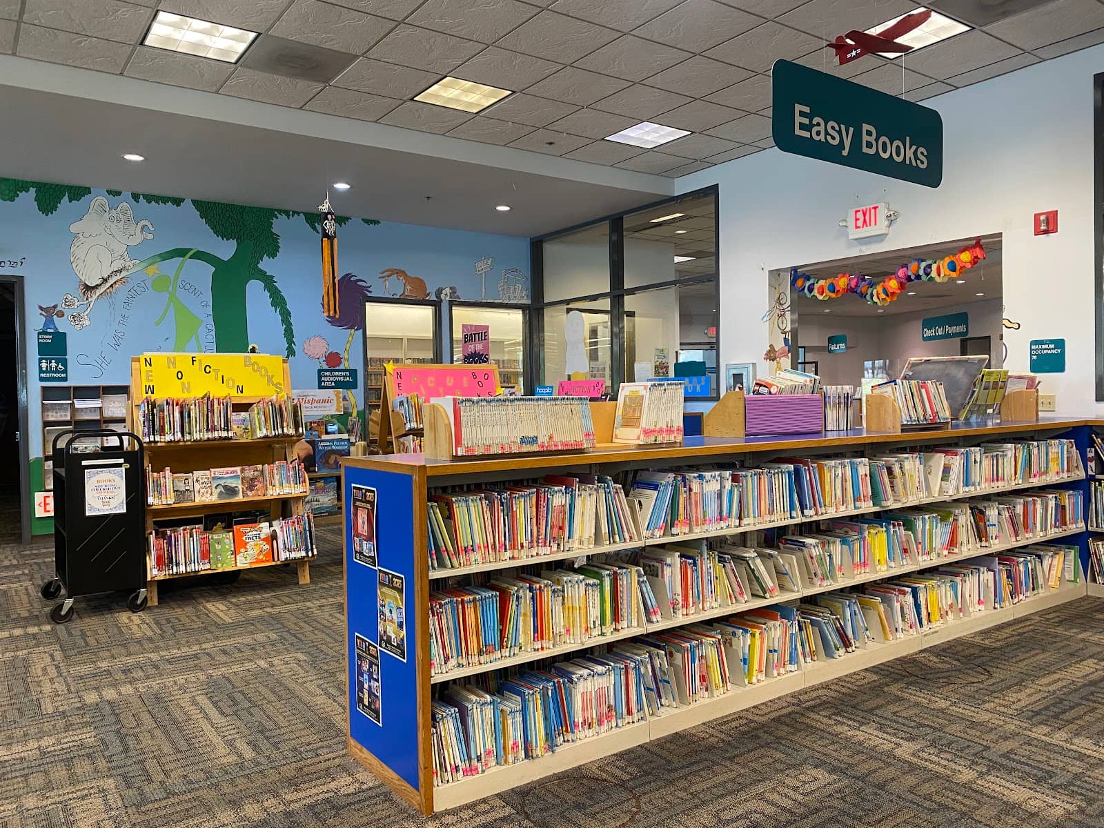 Extensive Book Collection