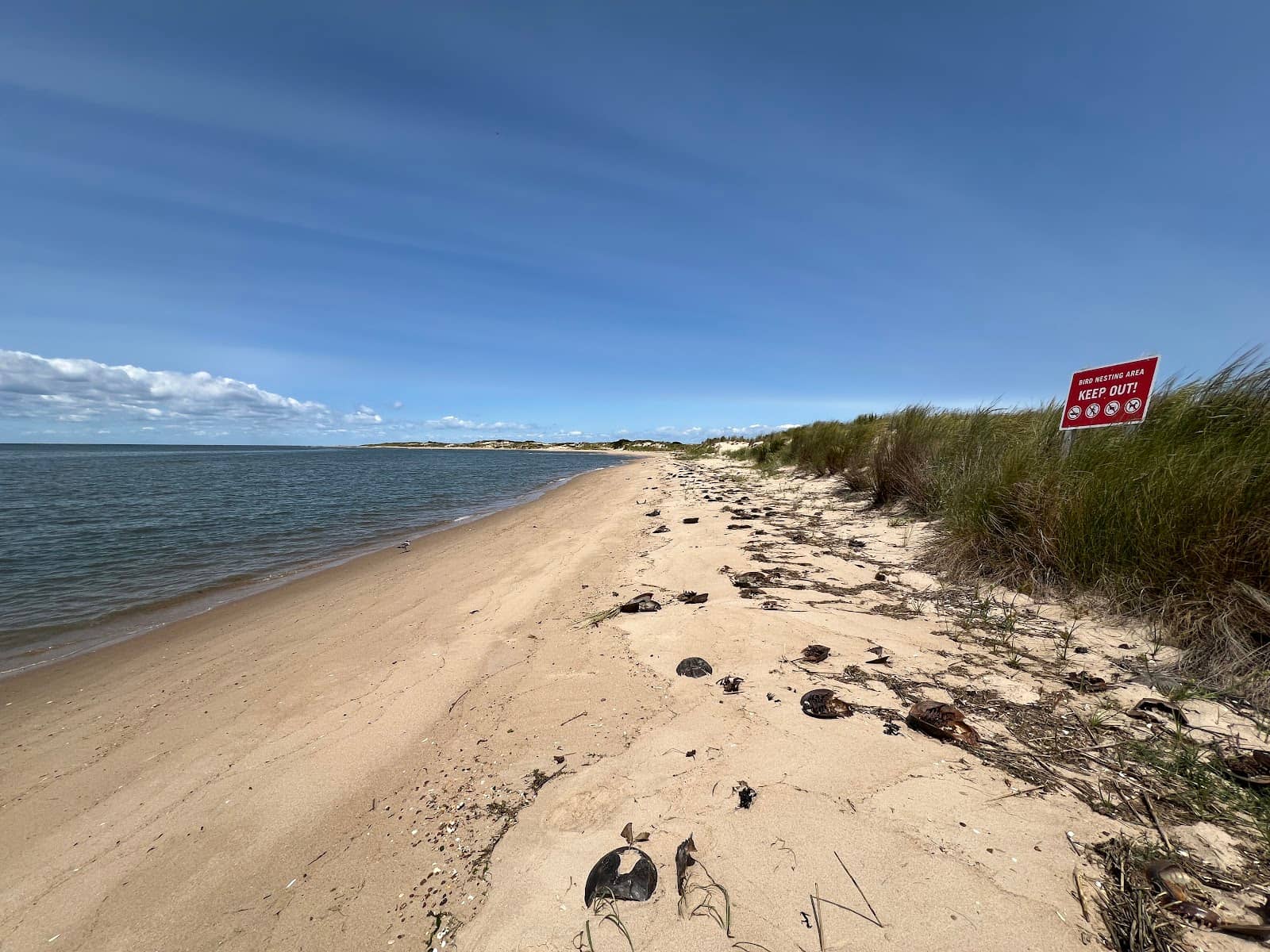Third hero image